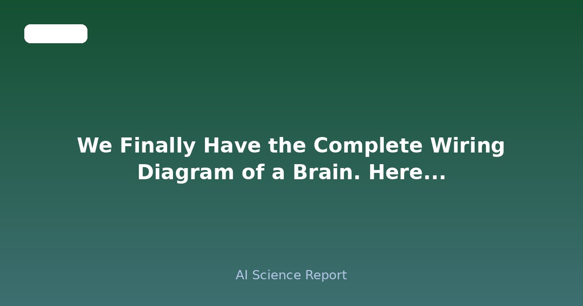 We Finally Have the Complete Wiring Diagram of a Brain. Here's What It Tells Us.